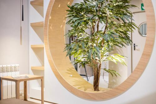 Aparthotel Nou Vielha - image 6