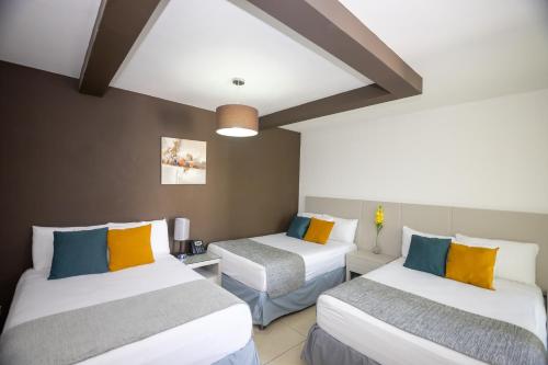 Terra Bella Hotel Boutique Room Type - Basic Triple Room