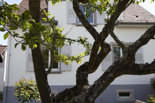 Aulouison Maison spacieuse et paisible de 200 m2, à proximité du Parlement européen, Straßburg (Foto 3)