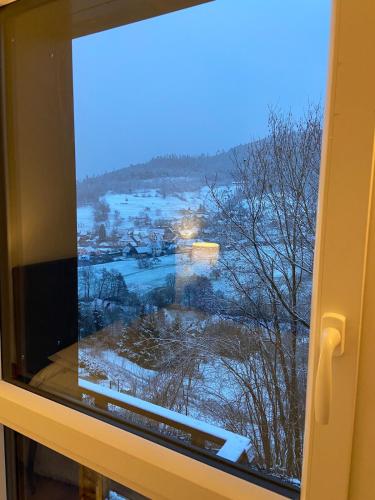 Duplex L'épicéa avec vue panoramique (Duplex L'epicea avec vue panoramique) in Breitenbach-Haut-Rhin