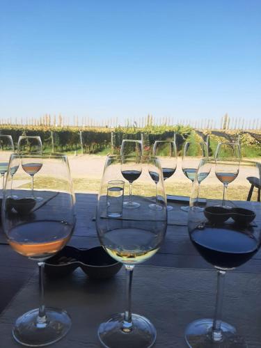 Casa Cortaderas in Pueblo Nuevo