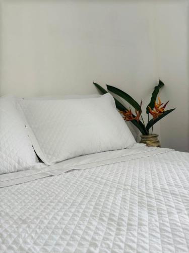 Duplex Mar e Cachoeiras in Praia Grande