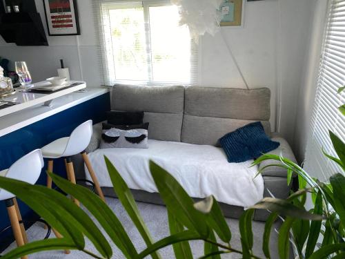 Appartement avec vue sur la mer au Moule - 60 m² - image 3