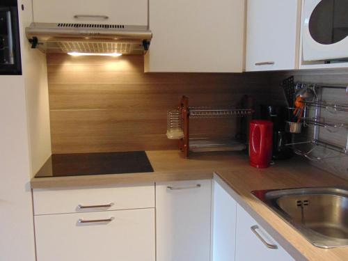 Appartement Chamonix-Mont-Blanc 1 pièce 2 personnes - FR-1-517-23 - image 5