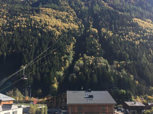 Appartement Chamonix-Mont-Blanc 2 pièces 3 personnes - FR-1-517-54 - image 5