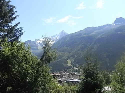 Appartement Chamonix-Mont-Blanc 1 pièce 3 personnes - FR-1-517-27 - image 6