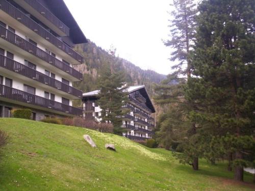 Appartement Chamonix-Mont-Blanc 1 pièce 3 personnes - FR-1-517-27 - image 8