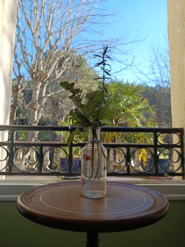 Maison Vive La Vie in คุยซา