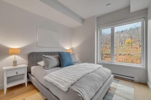 Initial - Mountain 302 - Ski-in-out MSA