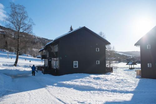 Ulaz, Koselig leilighet med Ski Bike in and out Nr 34 in Oyer