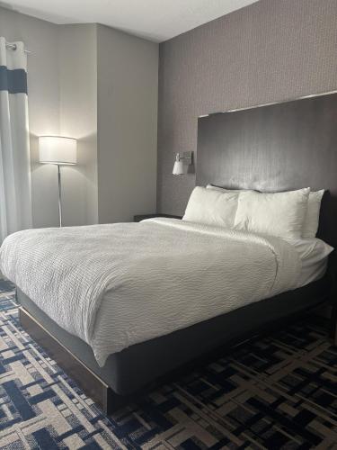Suite, Queen, Sofa bed