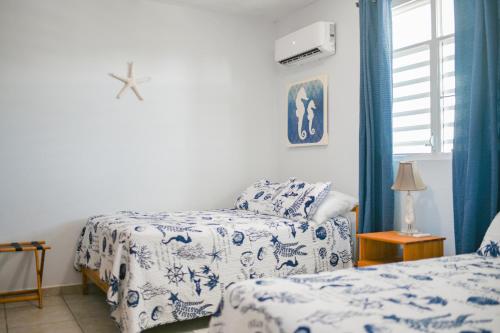 Island Charm Culebra Studios & Suites - Amazing Water views from all 3 apartments located in Culebra Puerto Rico!