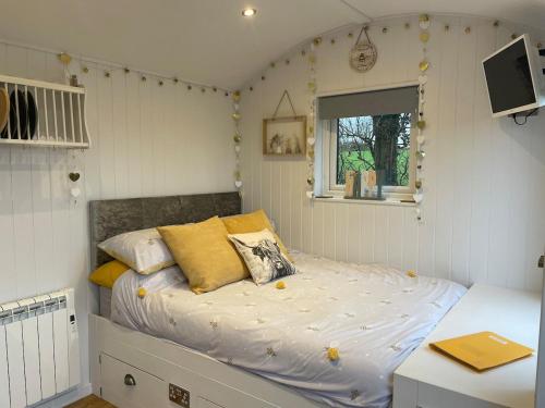 Hillview Haven in Liskeard