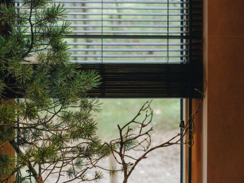 Beach House on the Northen Shore of lake Peipus Beach House on the Northen Shore of lake Peipus