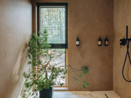 Beach House on the Northen Shore of lake Peipus Beach House on the Northen Shore of lake Peipus