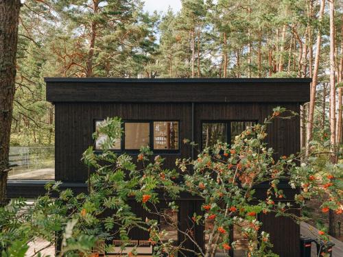 Beach House on the Northen Shore of lake Peipus Beach House on the Northen Shore of lake Peipus