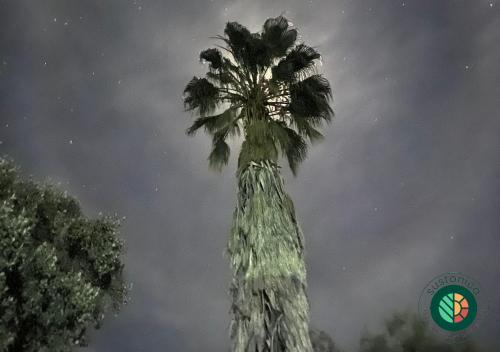 Die Kuierhuis - Central Stay, Local Hosts & Genuine Vibes Die Kuierhuis - Central Stay, Local Hosts & Genuine Vibes