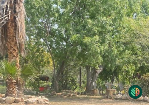 Die Kuierhuis - Central Stay, Local Hosts & Genuine Vibes Die Kuierhuis - Central Stay, Local Hosts & Genuine Vibes