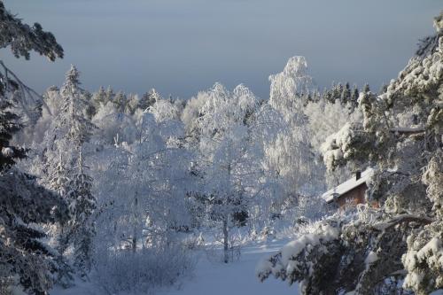 Holiday Home Långberget