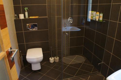 Sofia Premium Apartment free parking, Budapešť (fotografie 3)