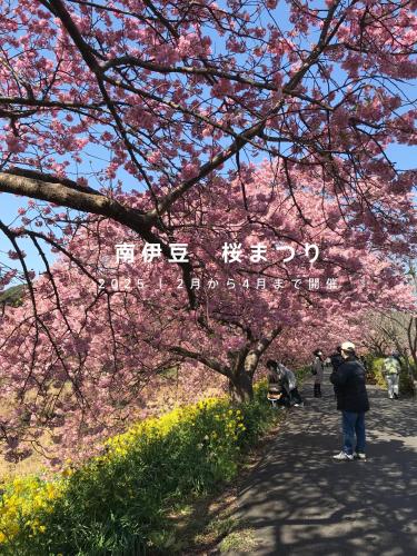 新緑の南伊豆焚き火の宿ノキロ, Minamiizu (foto 9)