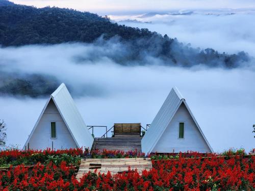 Garden, Mr Shin Farmstay นย๊อยง ฟาร์มสเตย์ in Samoeng