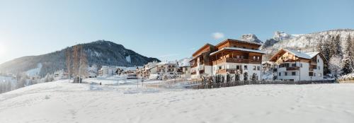 Ciasa Willy App Lavarella