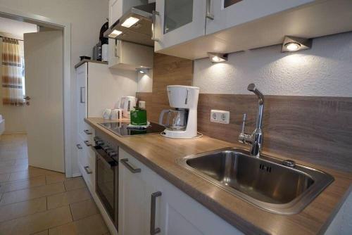 Herzmuschel in Norddeich