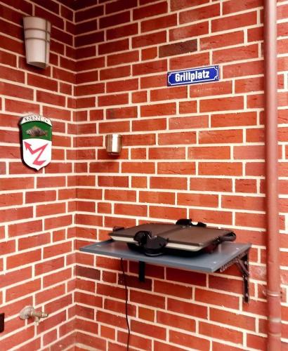 Herzmuschel in Norddeich