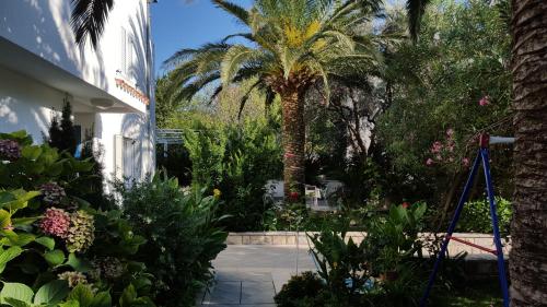 Apartments Becici - image 8