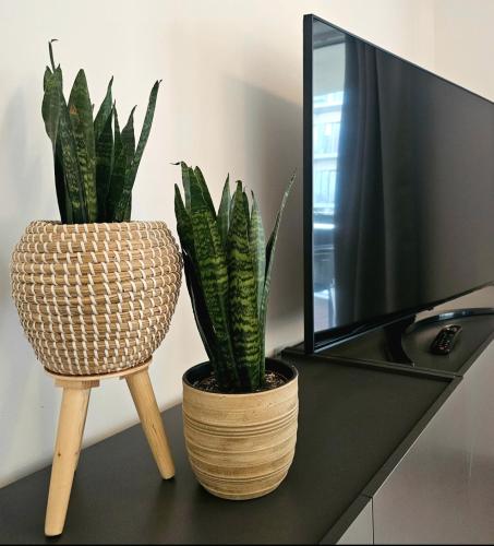SmartApart - Design Apartment - Favorite Place - Full Equipment - Public Transport, Norimberk (fotografie 10)