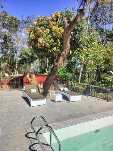 View, Devi Villa - Plantation Retreat and Forest Getaway in Nagarhole