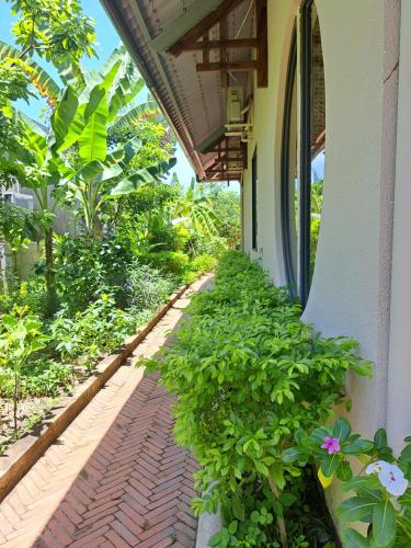 GOLDEN LOTUS SPA & HOMESTAY - 정원