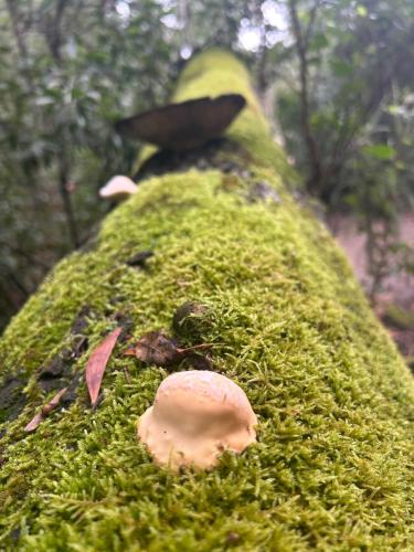 Nora's Place Nora's Place