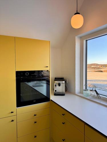 Kitchen, Panoramic Holiday Apartment - Dagmar in Ebeltoft