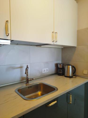 One-Bedroom Apartment image 10