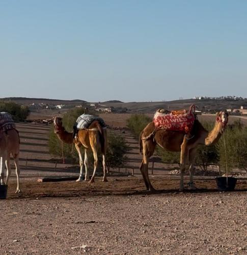 agafay valley agafay valley