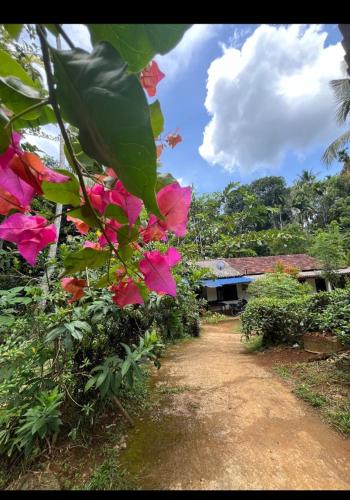 Chathu's little inn in 데라니야갈라