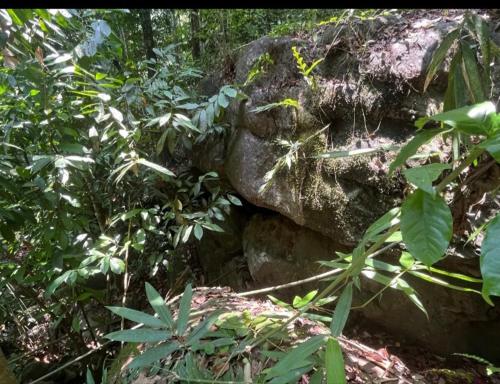 Chathu's little inn in 데라니야갈라