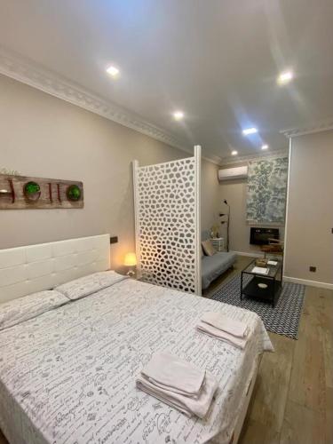 Petit Loft toledo door - Casilda, Madrid (photo 7)