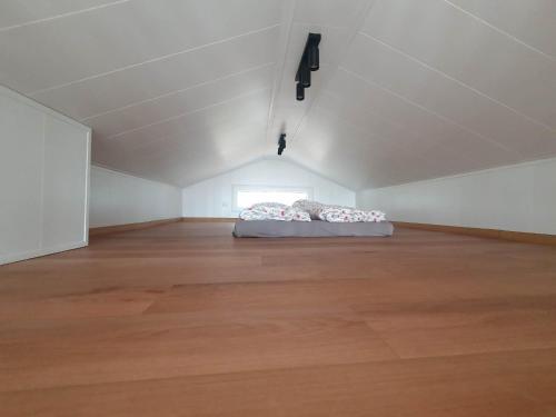 Tiny Haus 1, Schwielochsee (foto 3)