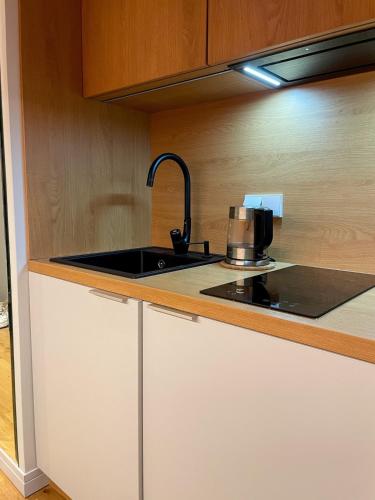 City Centre loft apartment, Riga (foto 3)