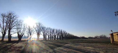 AGRITURISMO LE CORTI DELLA GUALDANA