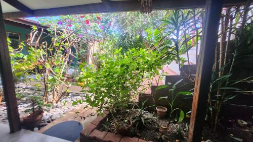 Pipihoreko Hostal Pipihoreko Hostal