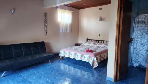 Pipihoreko Hostal Pipihoreko Hostal