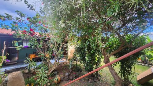 Pipihoreko Hostal Pipihoreko Hostal