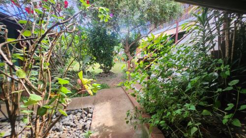 Pipihoreko Hostal Pipihoreko Hostal