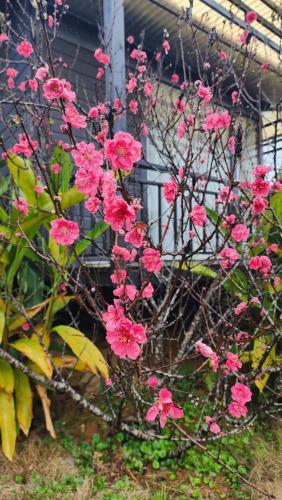 Nha ben vuon Man in La Phu