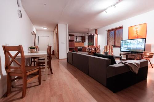 ห้องส่วนกลางสำหรับนั่งเล่น/ดูทีวี, Hotel Rozkos in เชสกา สกาลิซ