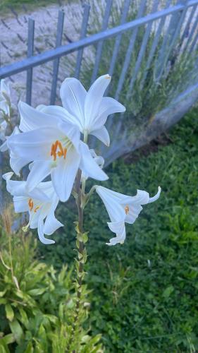 La casa nel cammino degli Dei gîte à louer Montefredente